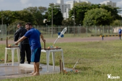 darwin-083