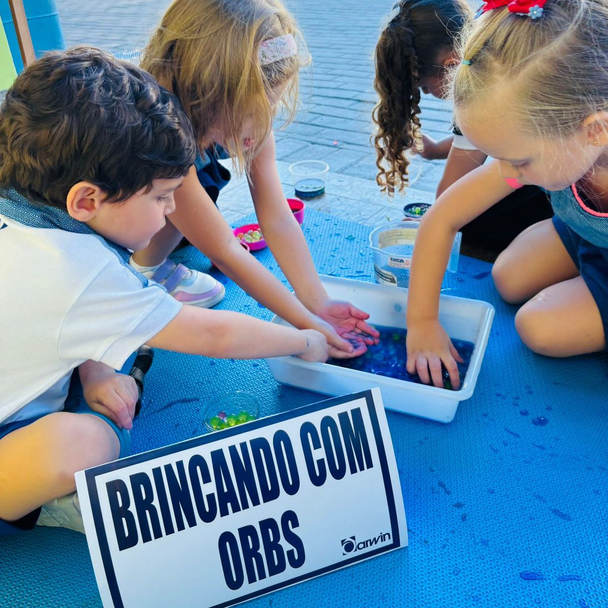 Descobertas que encantam no Infantil IV